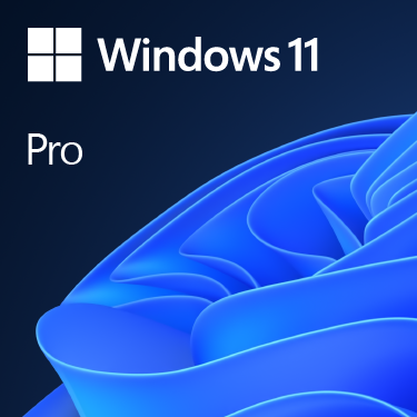 Microsoft Windows 11 Professional 64bit dt.